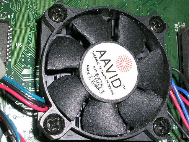 Close up on Fan =)