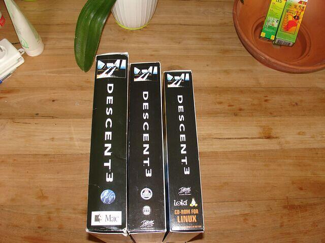 The 3 Different D3 USA's side