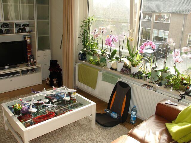 VGA Table + Orchids front angled