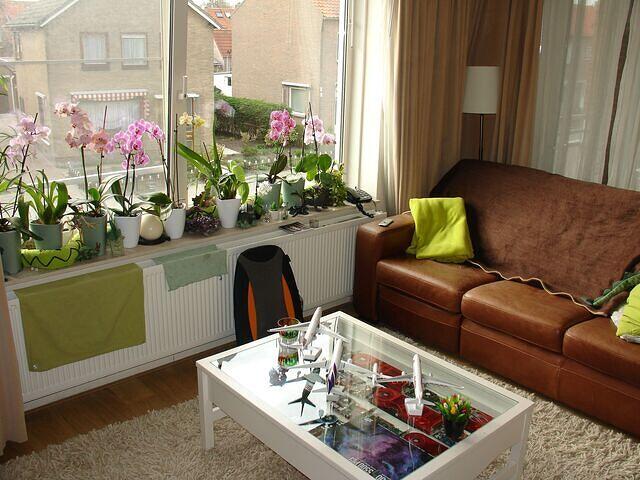 VGA Table + Orchids rear angled