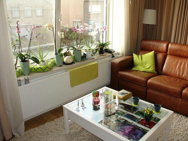 Orchids a VGA Table rear