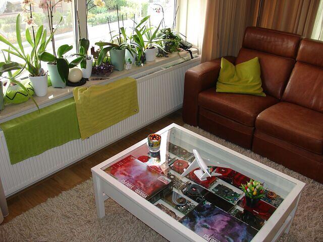 VGA Tabel & Orchids and a nice big Amethyst