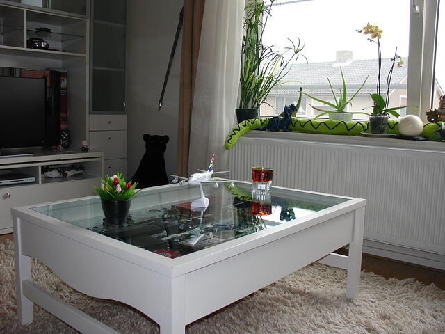 VGA Table November 17, 2010 Plants shot