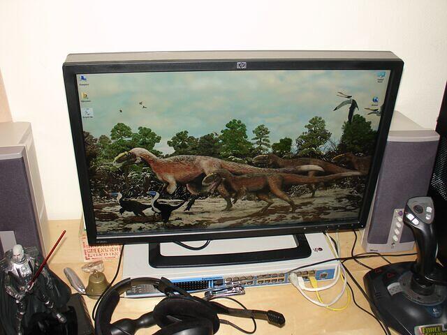 HP ZR24w 24 Inch S-IPS Panel