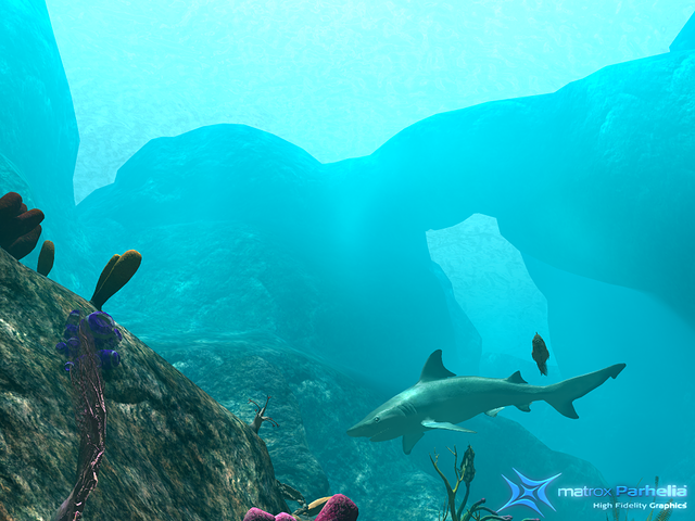 reef demo P512 FAAx16 a