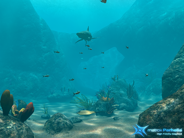 reef demo P512 FAAx16 b