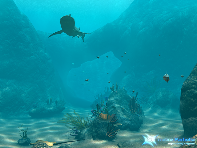 Parhelia AGP 256MB Reef Demo 1-1 beginning