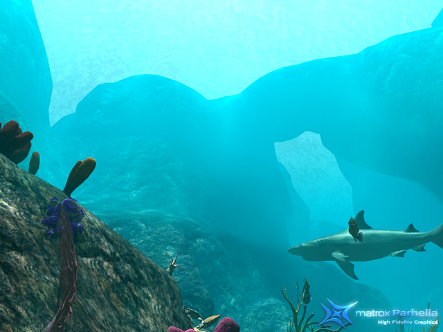 incoming shark attack