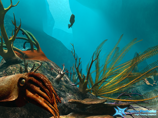 other sea life at play